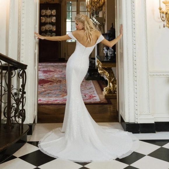 ANNE BARGE BLUE WILLOW ROTHSCHILD WEDDING DRESS - Picture 4 of 6